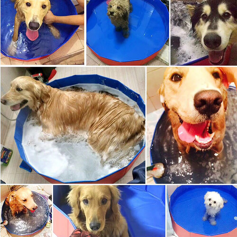 Foldable Dog Swimming Pool, Large Pet Pool & Portable Dog Bath