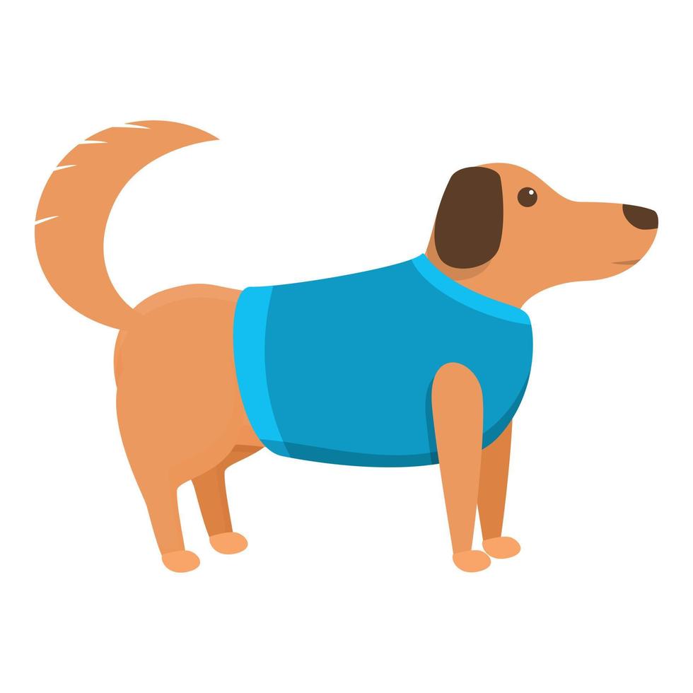 Pet wear
